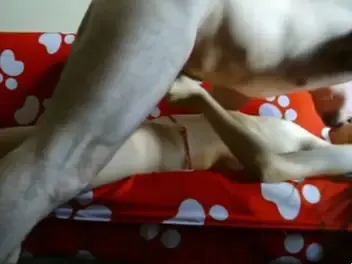 Bokep Jilbab Ukhti Ganas Anak Pesantren Viral